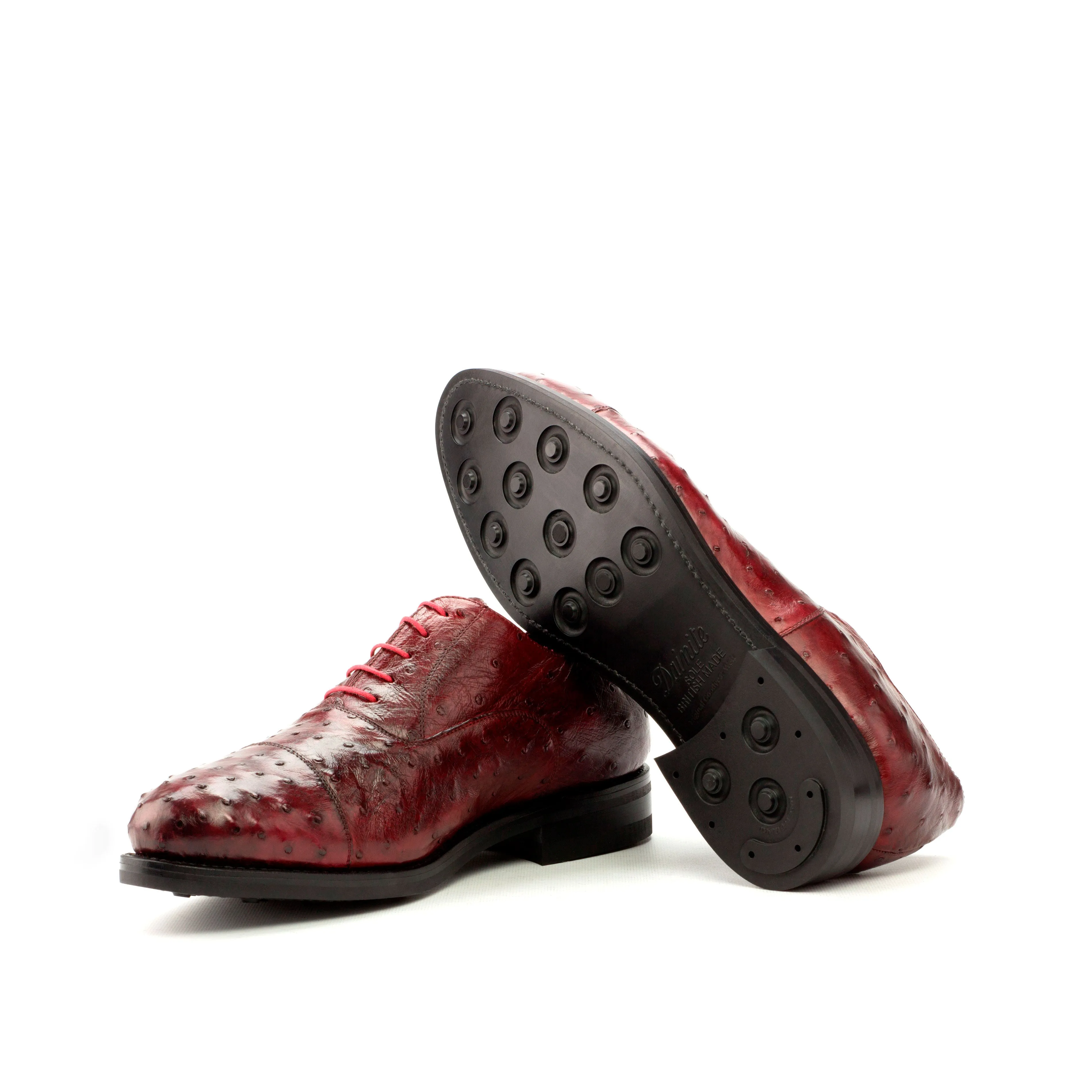 Exotic Oxford 002