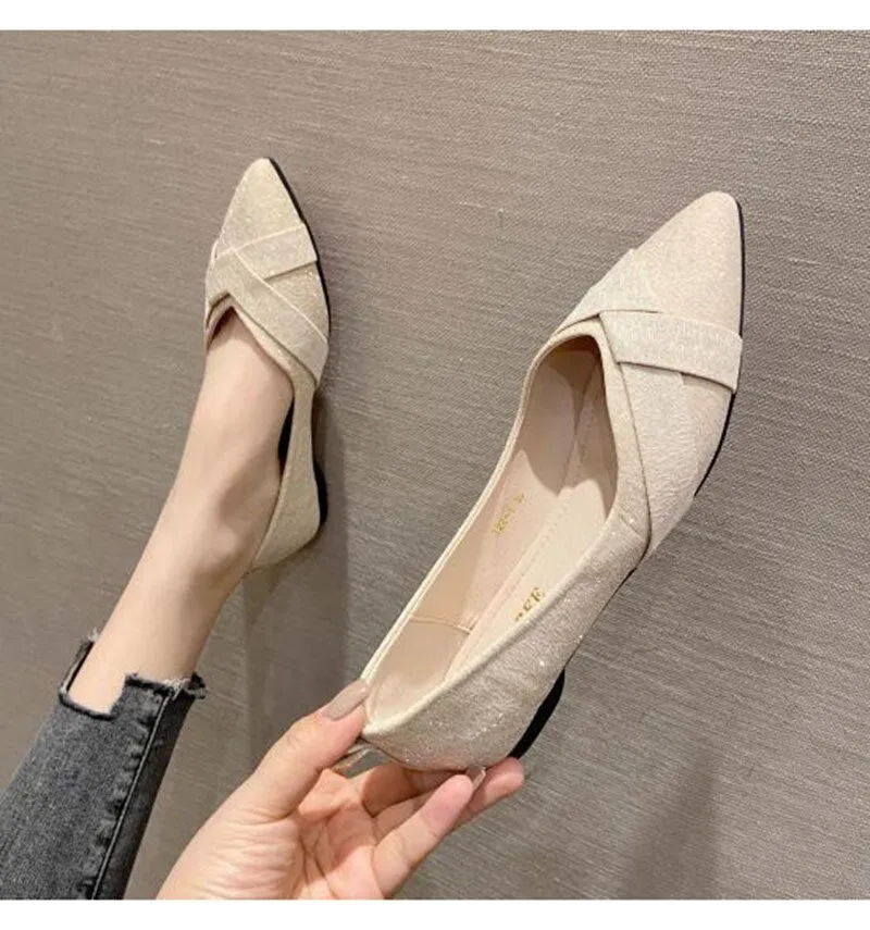 Hnzxzm Fashion Flats for Women Single Shoes Elegant Office Lady Shoes Pointed toe Ballets Women Flats Black Plus Size 41 A4320