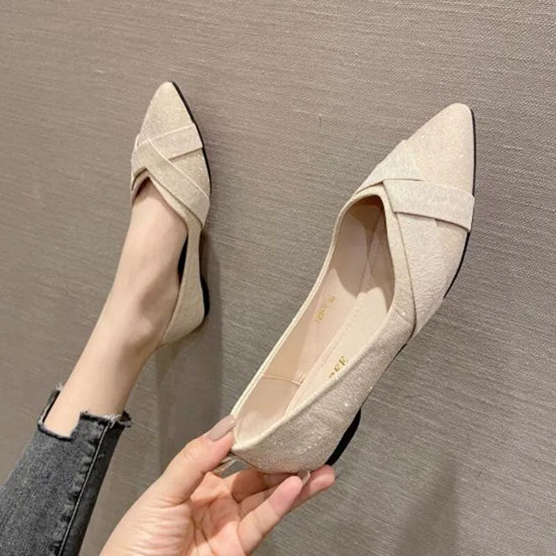 Hnzxzm Fashion Flats for Women Single Shoes Elegant Office Lady Shoes Pointed toe Ballets Women Flats Black Plus Size 41 A4320