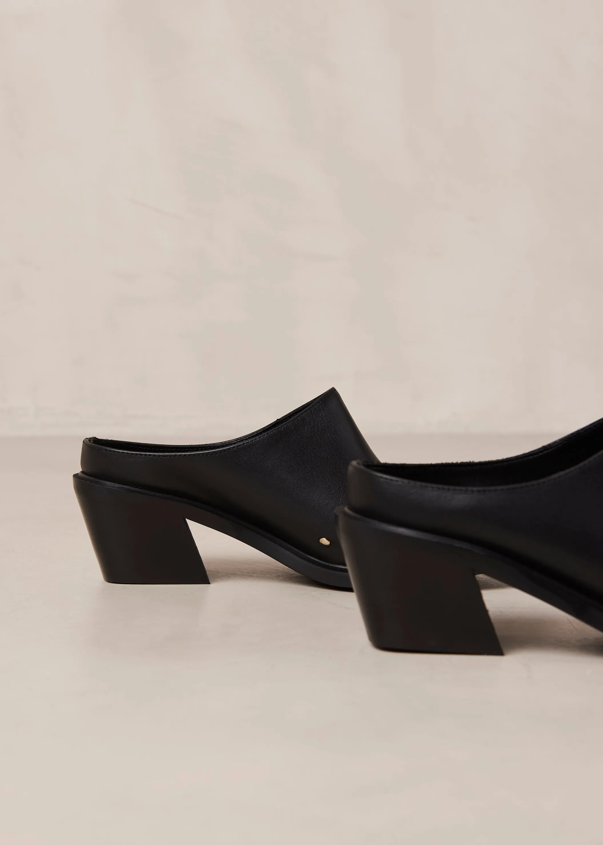Lorenzo Leather Mules Black