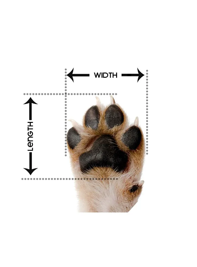 Pretty Paw Air Tungsten Noir