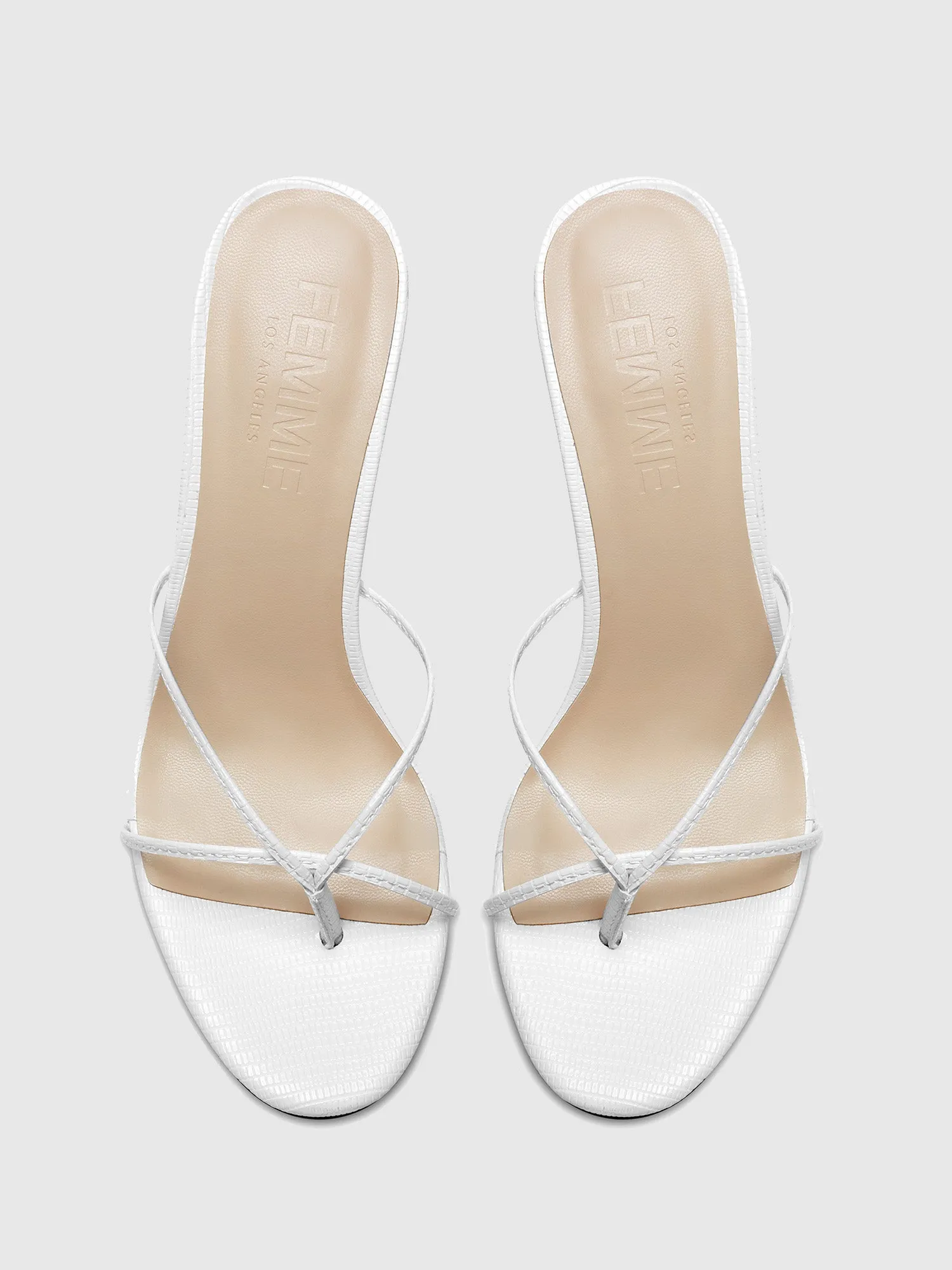Sicilian Slipper - Leche