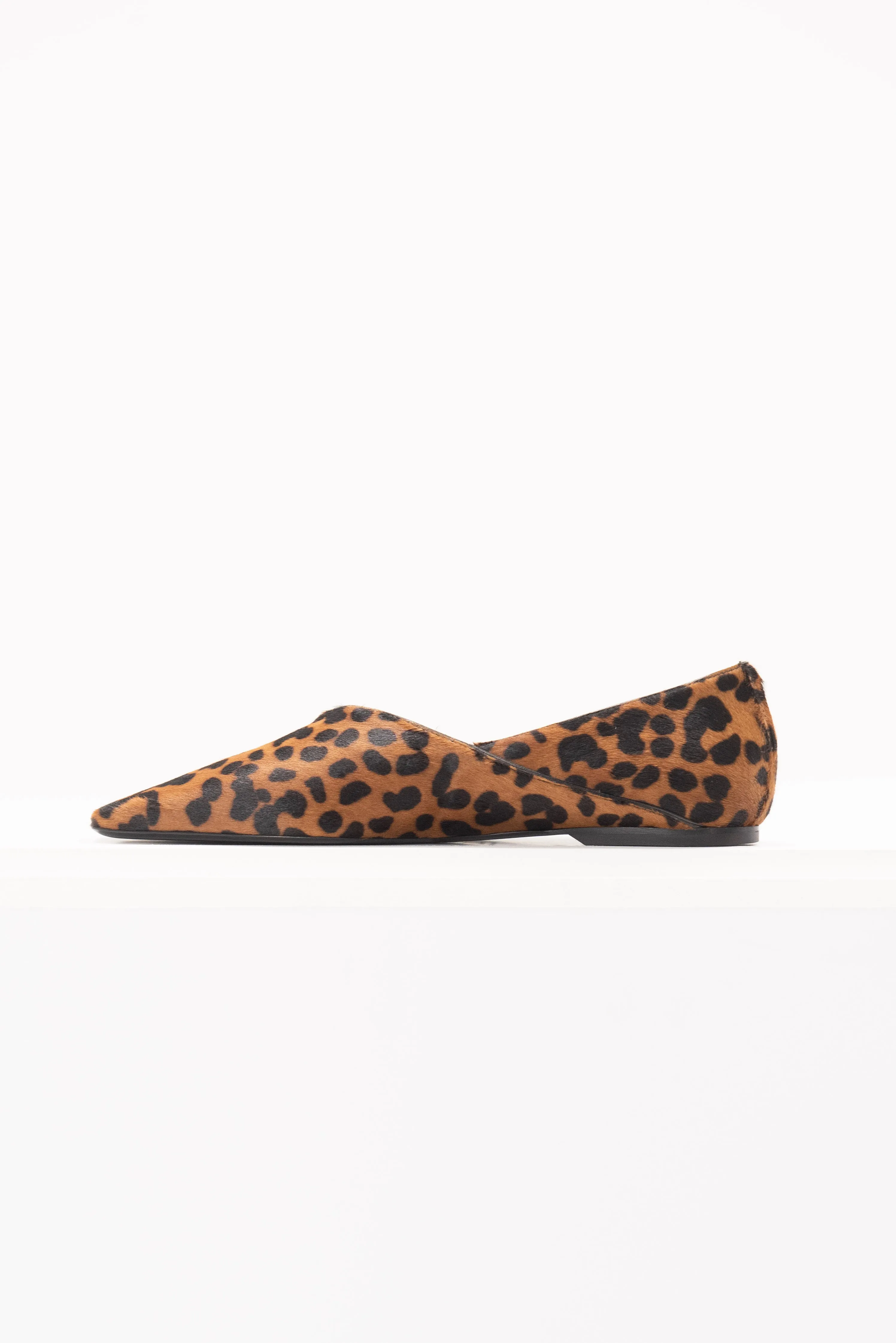 The Everyday Flat, Leopard