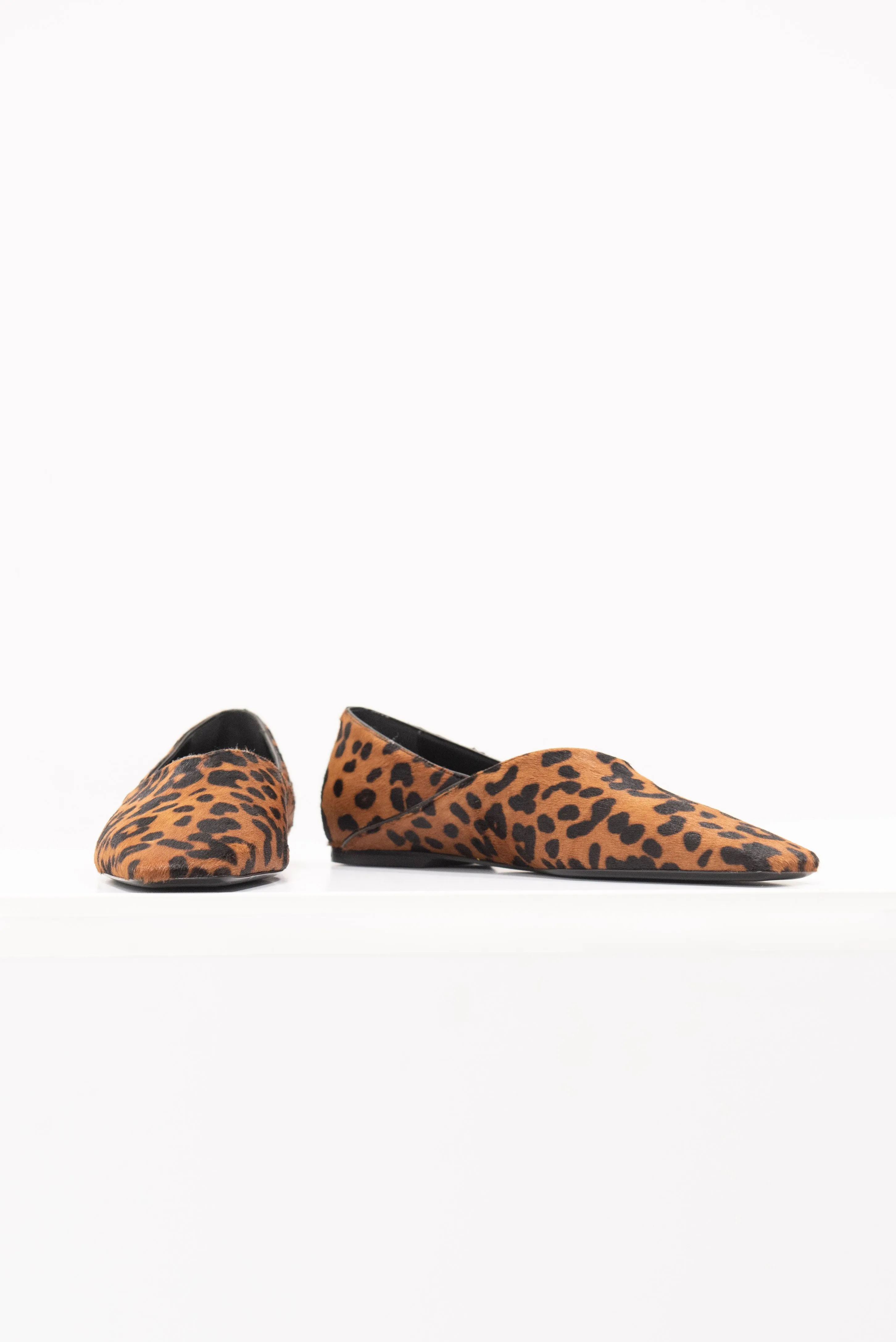 The Everyday Flat, Leopard