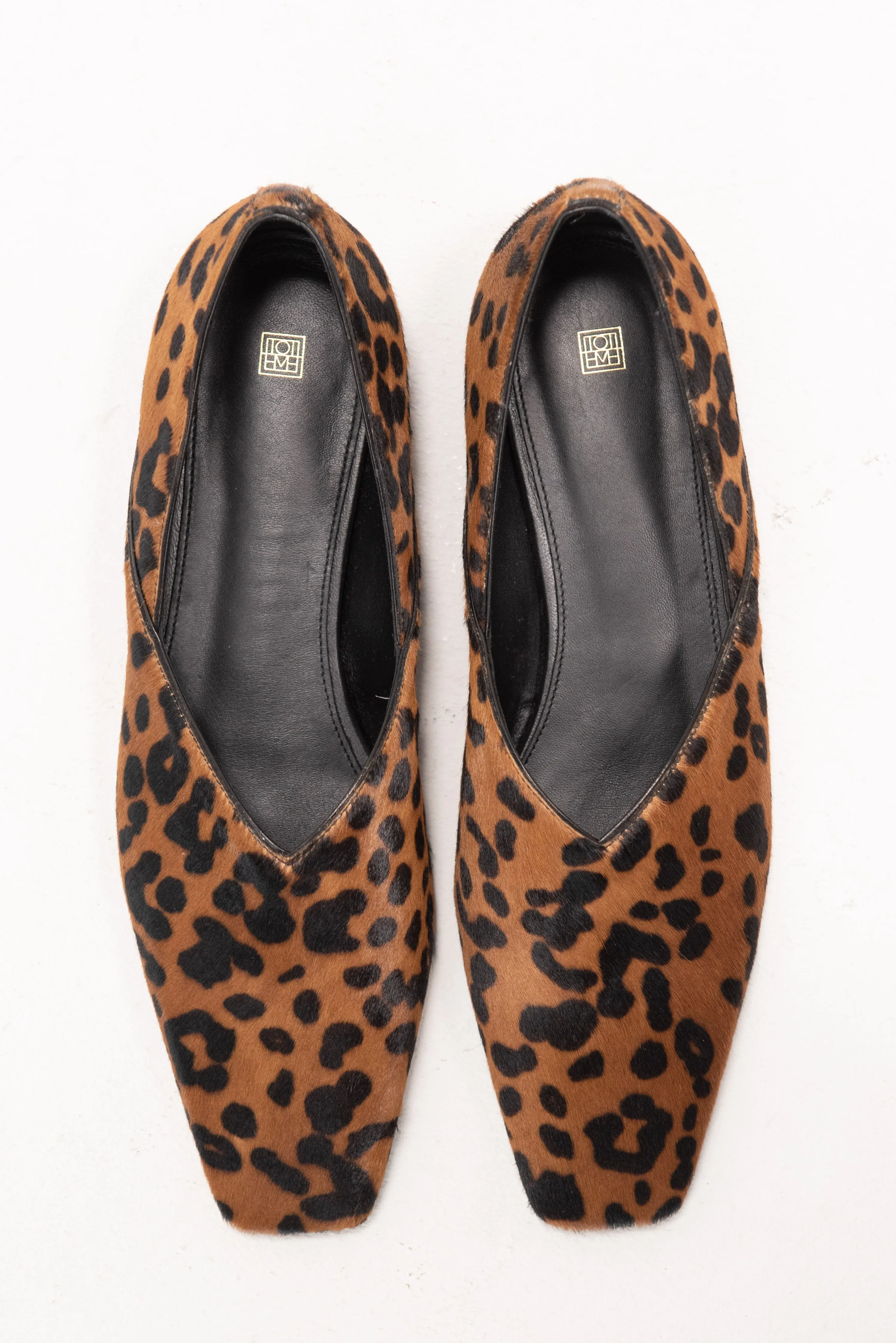 The Everyday Flat, Leopard